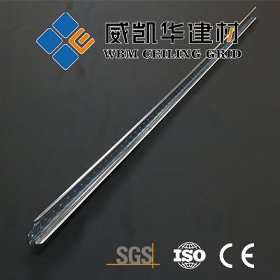武威窄凹槽中骨